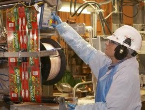Food Technician Operating Equipment