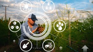 farmer using tech to monitor the field